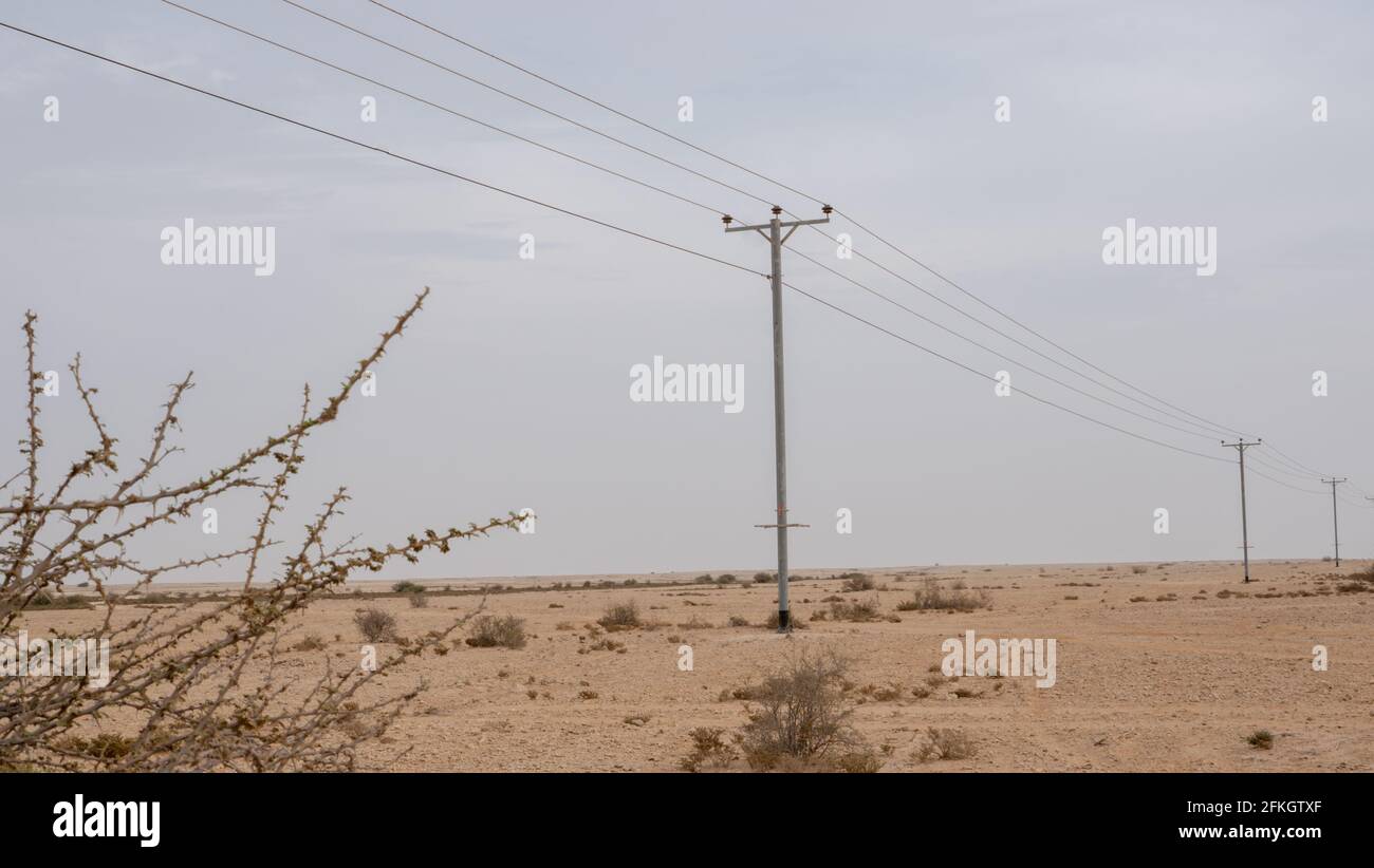 Desert landscape with electric towers and Desert thorn Lycium shawii plant. Selective focus Stock Photo