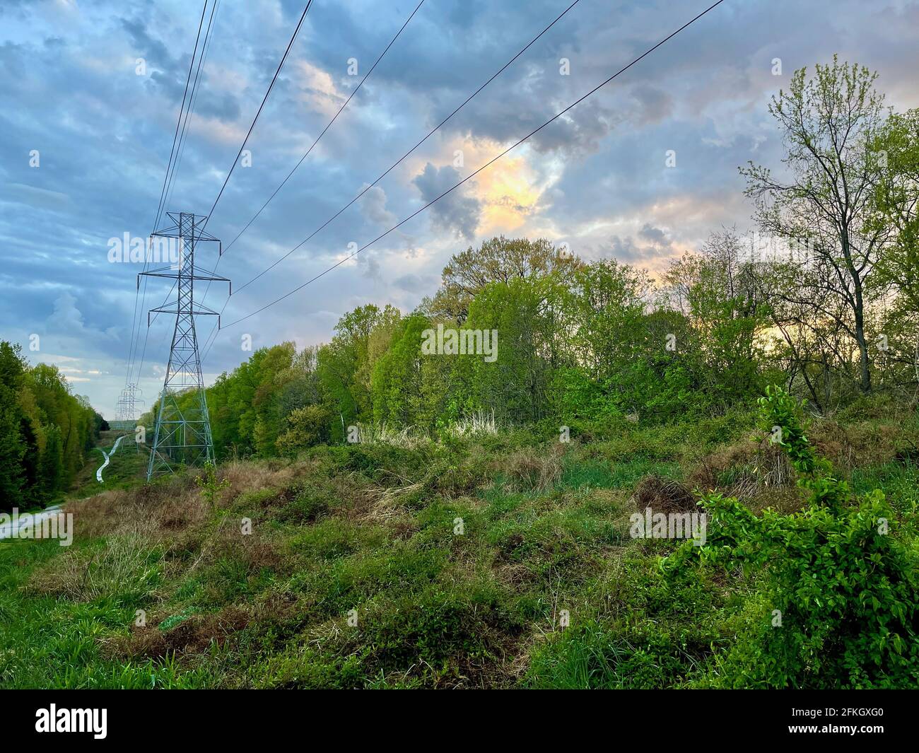 A rain-soaked footpath meanders through lush green trees and bushes while a dramatic blue and white sky threatens rain from above. Stock Photo