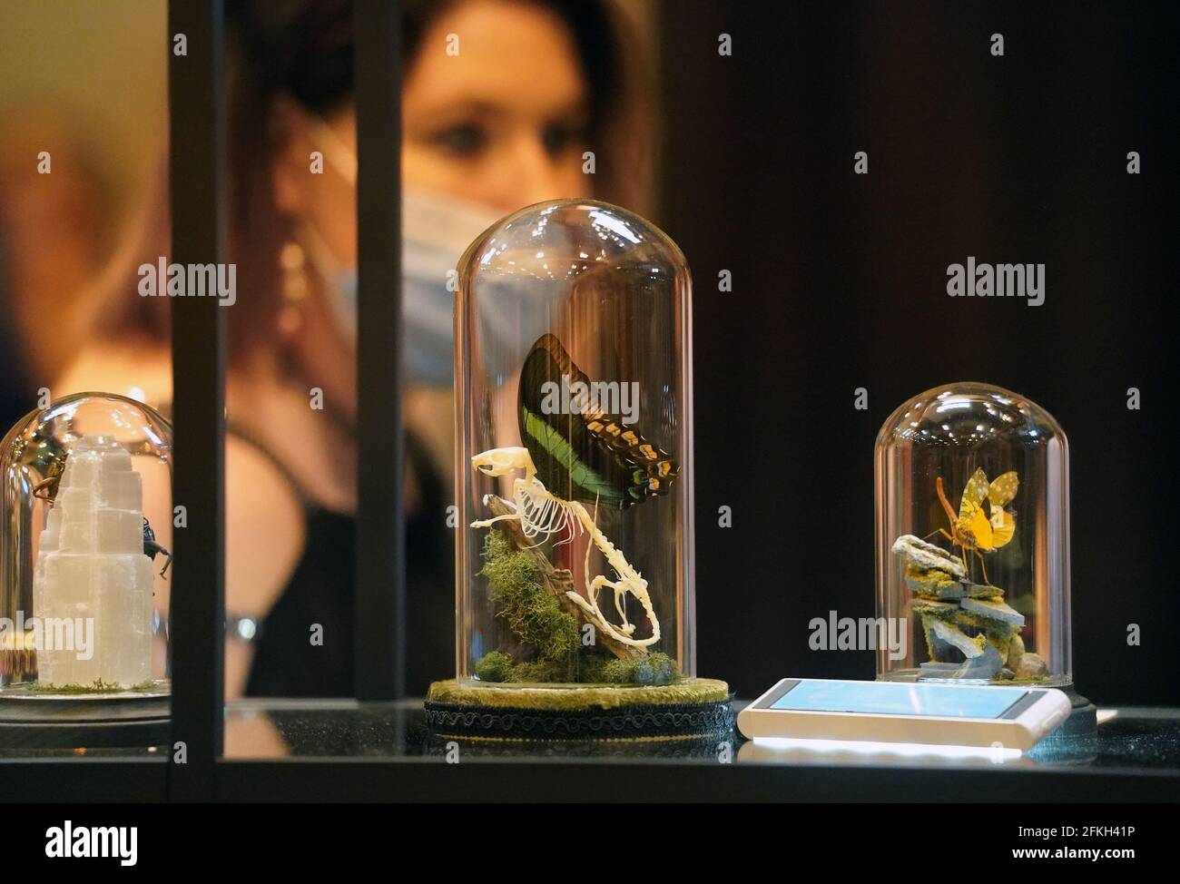 Oddities and curiosities expo hires stock photography and images Alamy