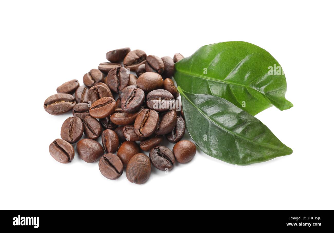 Coffee beans and green leaves on white background Stock Photo - Alamy