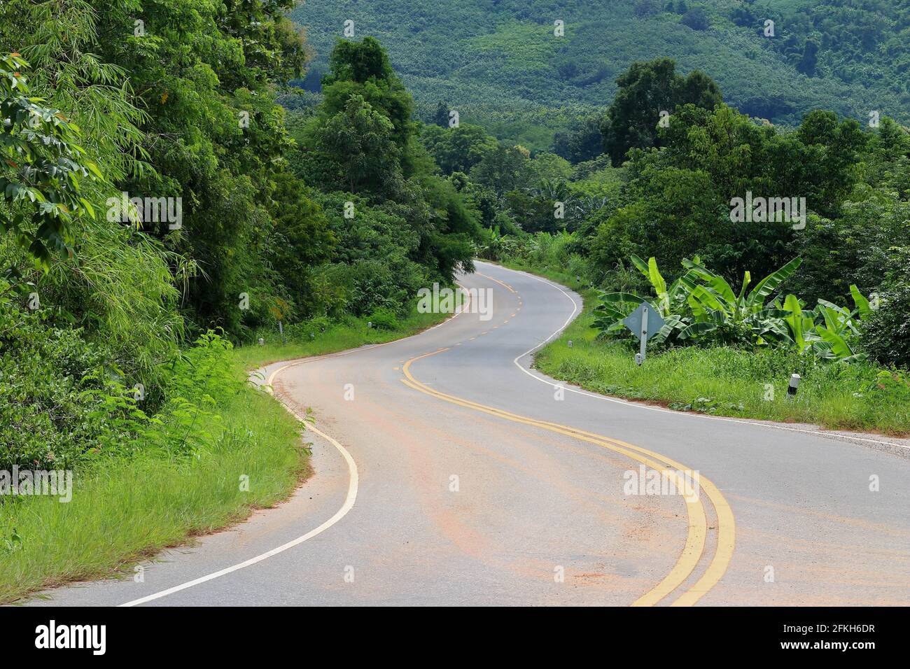 curves road in countryside with tropical green forest Stock Photo