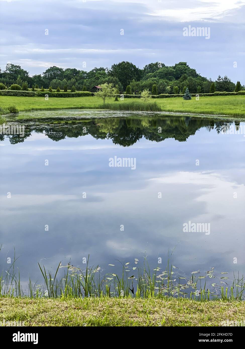 Summer green with pond hi-res stock photography and images - Alamy