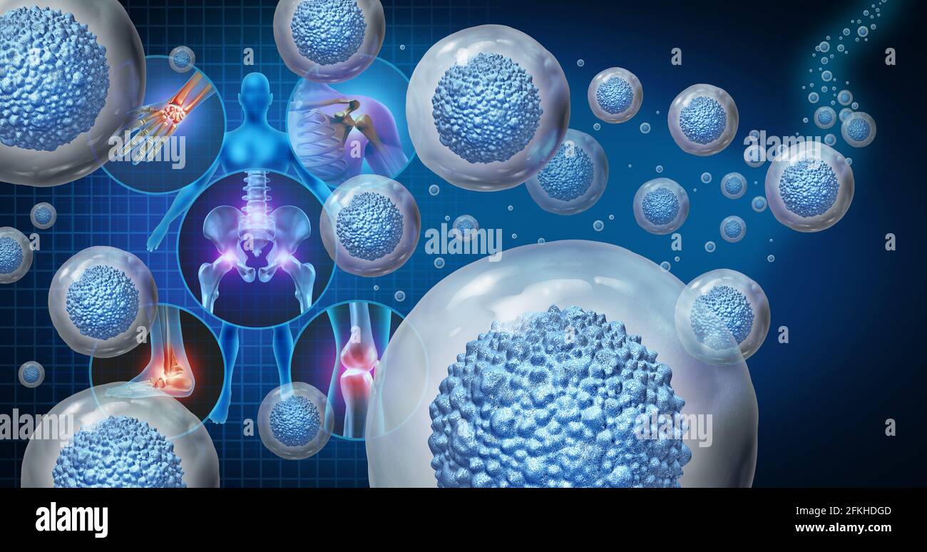 Stem cell therapy and treatment for painful joints as multicellular organisms for cellular treatment of injury or arthritis illness due to aging. Stock Photo