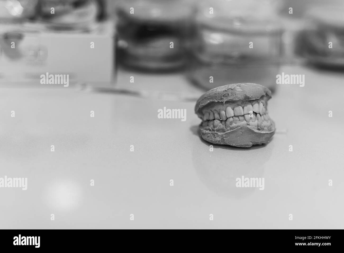Lower Jaws Black And White Stock Photos Images Alamy Lower Jaws Black And White Stock Photos Images Alamy