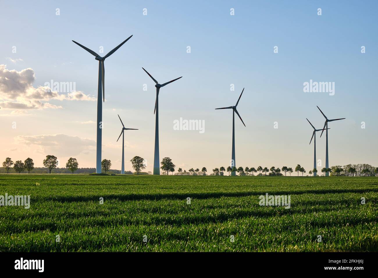Wind turbines in a grain field with back light seen in Germany Stock Photo