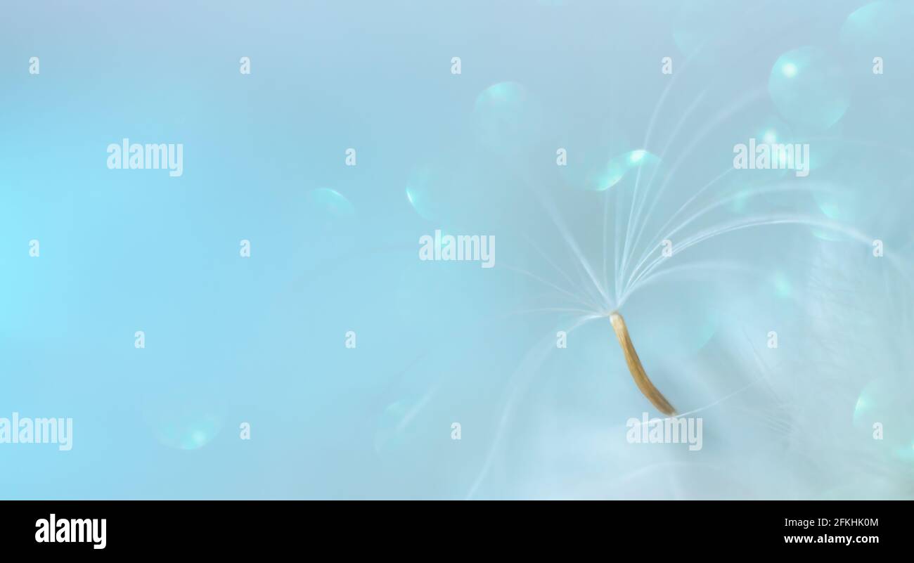 Blue pastel bokeh light texture hi-res stock photography and images - Alamy