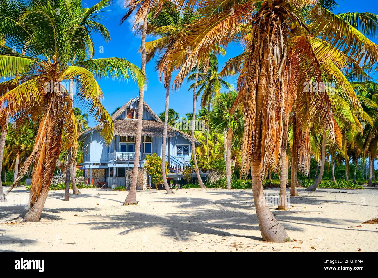 Saona island, Dominican Republic Stock Photo