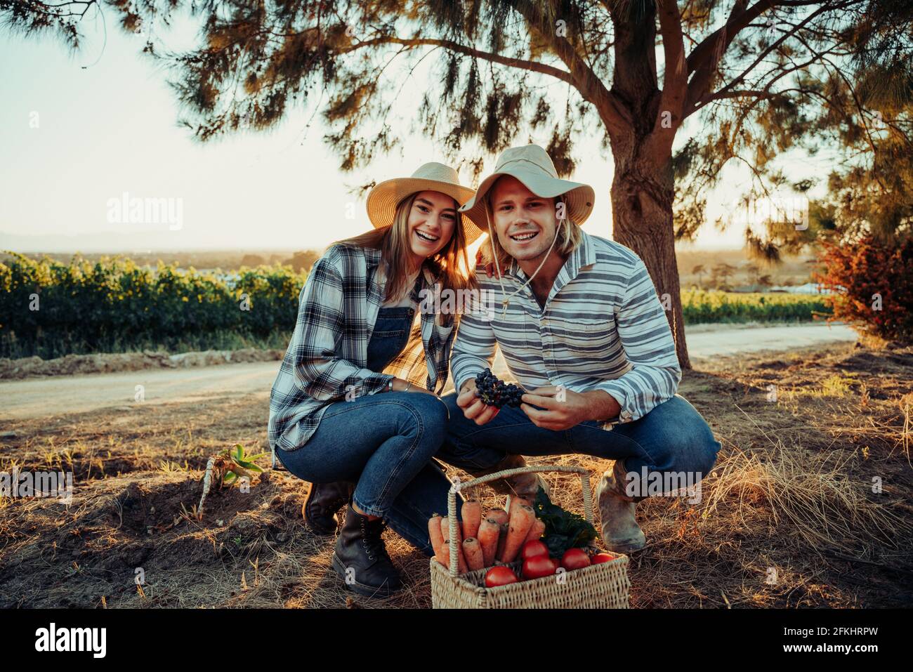 Caucasian couple crouching down smiling while picking fresh vegetables on farmlands at sunrise Stock Photo