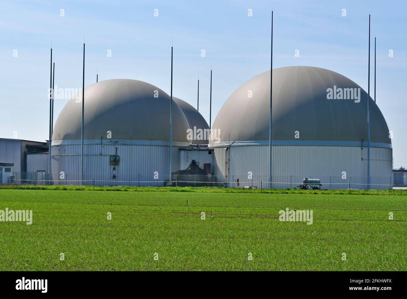 Plant for the production of biogas and ethanol fuel from renewable raw