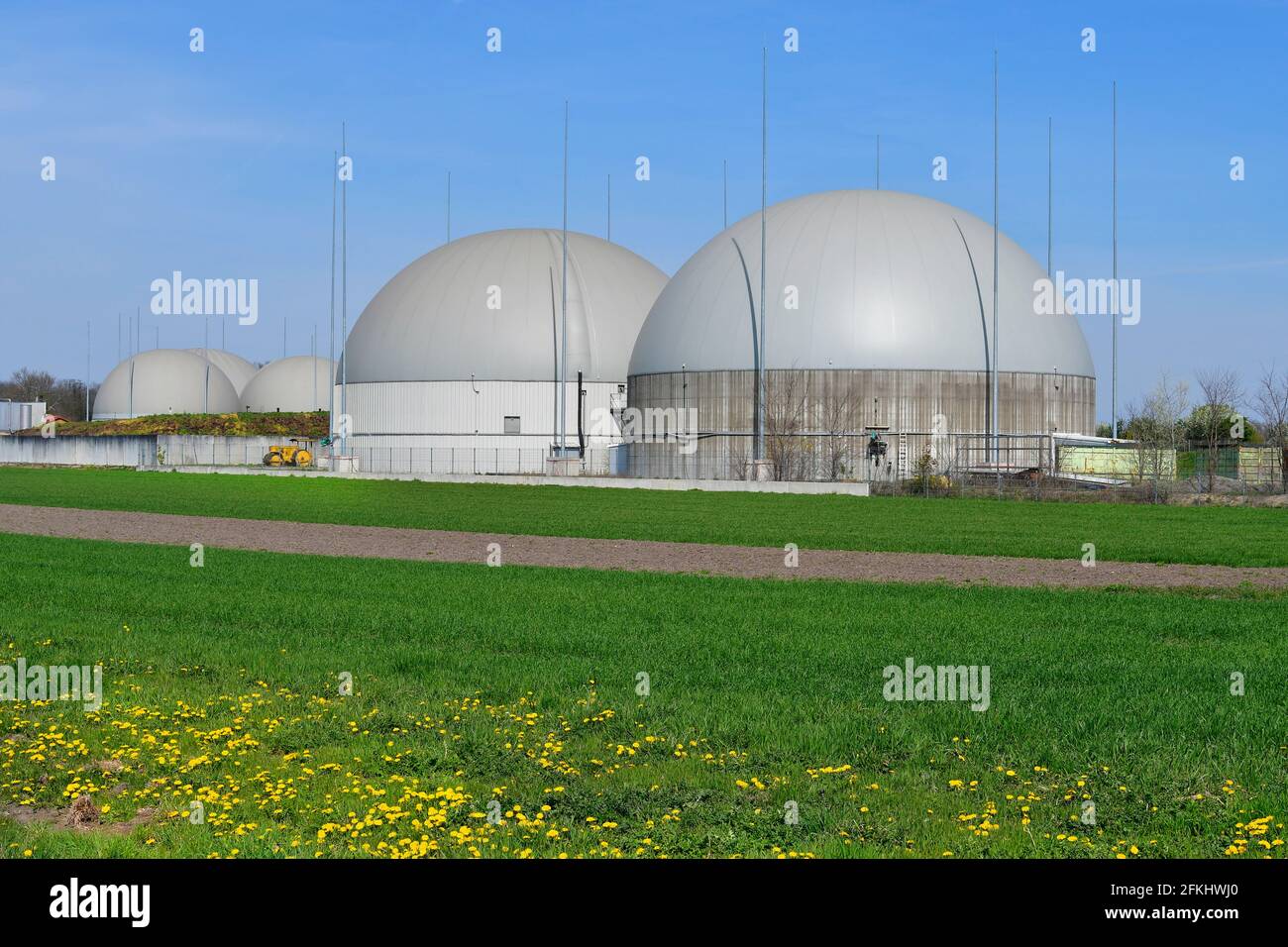 Plant for the production of biogas and ethanol fuel from renewable raw