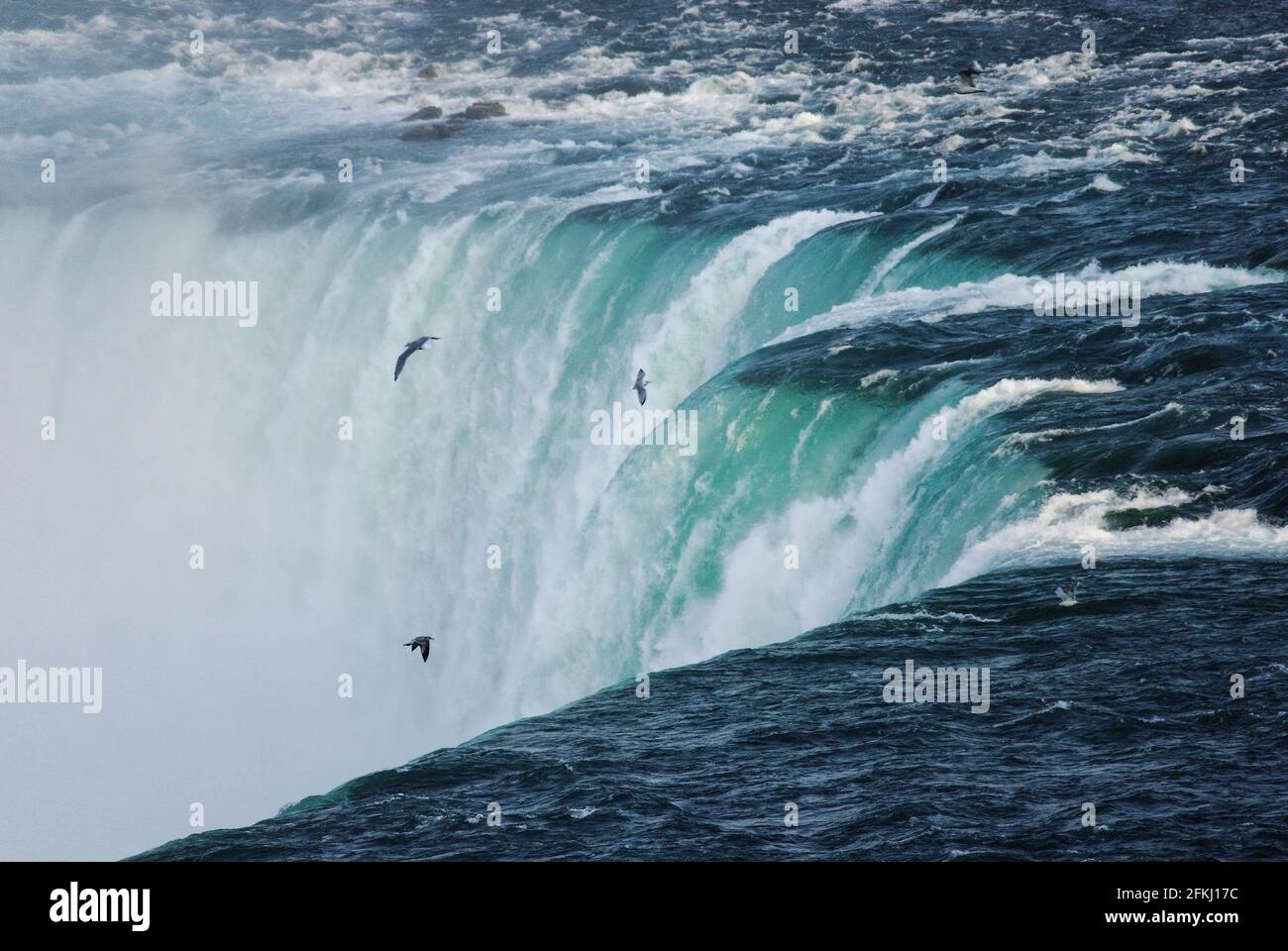 Birds are flying above the water mass of Niagara Falls USA Stock Photo