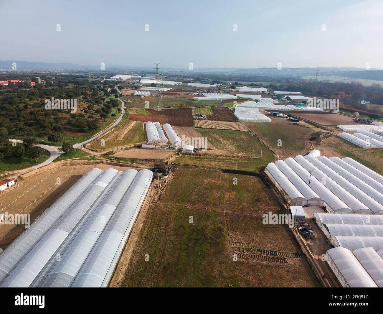 Lines of greenhouses hi-res stock photography and images - Alamy