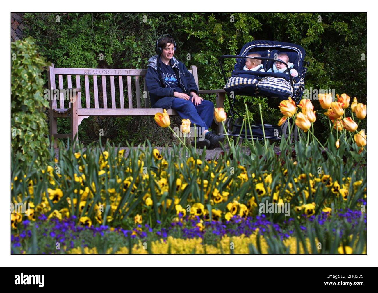 A memorial bench to Ian Dury in poets corner, Pembrook Lodge, Richmond park. Adele Taylor and twins Rosie and Isabella enjoy the sun and the music of Dury by pluging her headphones into sockets in the arm rests of this special bench.pic David Sandison 29/4/2002 Stock Photo