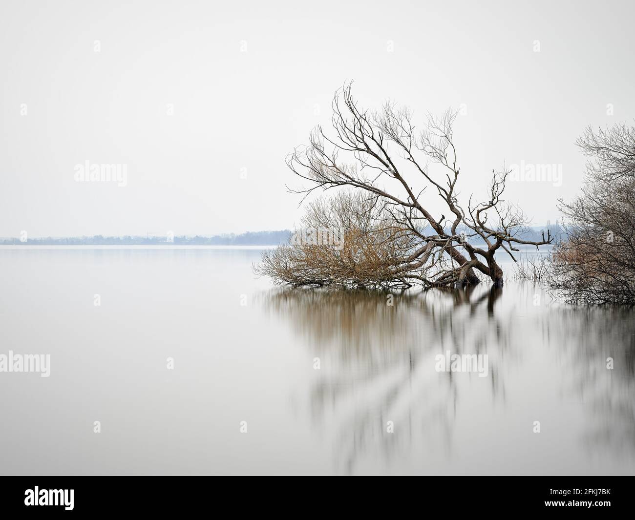 Long exposure of lake side with refelecting tree during flood Stock Photo