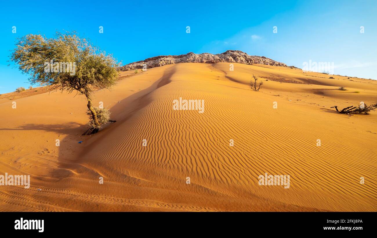 Dubai desert Stock Photo
