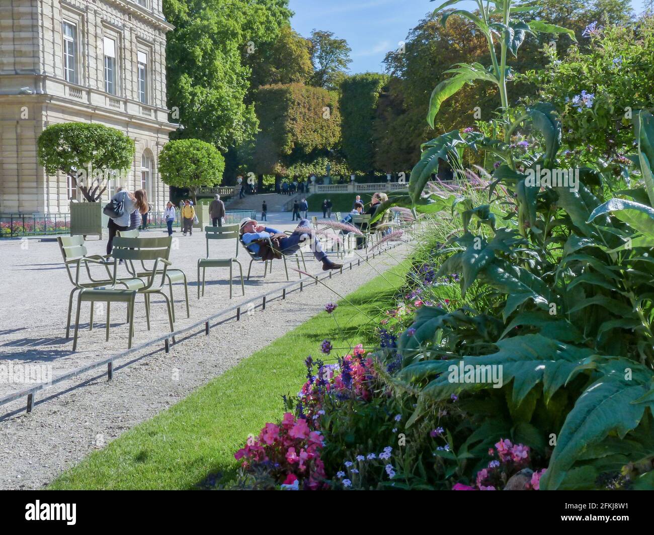A person having rest on a  typical green chair in Luxembourg Garden, Paris in near flowers in blossom. Green lawn and pink flowers Stock Photo