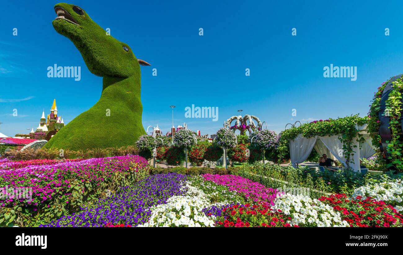 Dubai miracle garden - Megaparc in the United Arabian Emirates Stock Photo