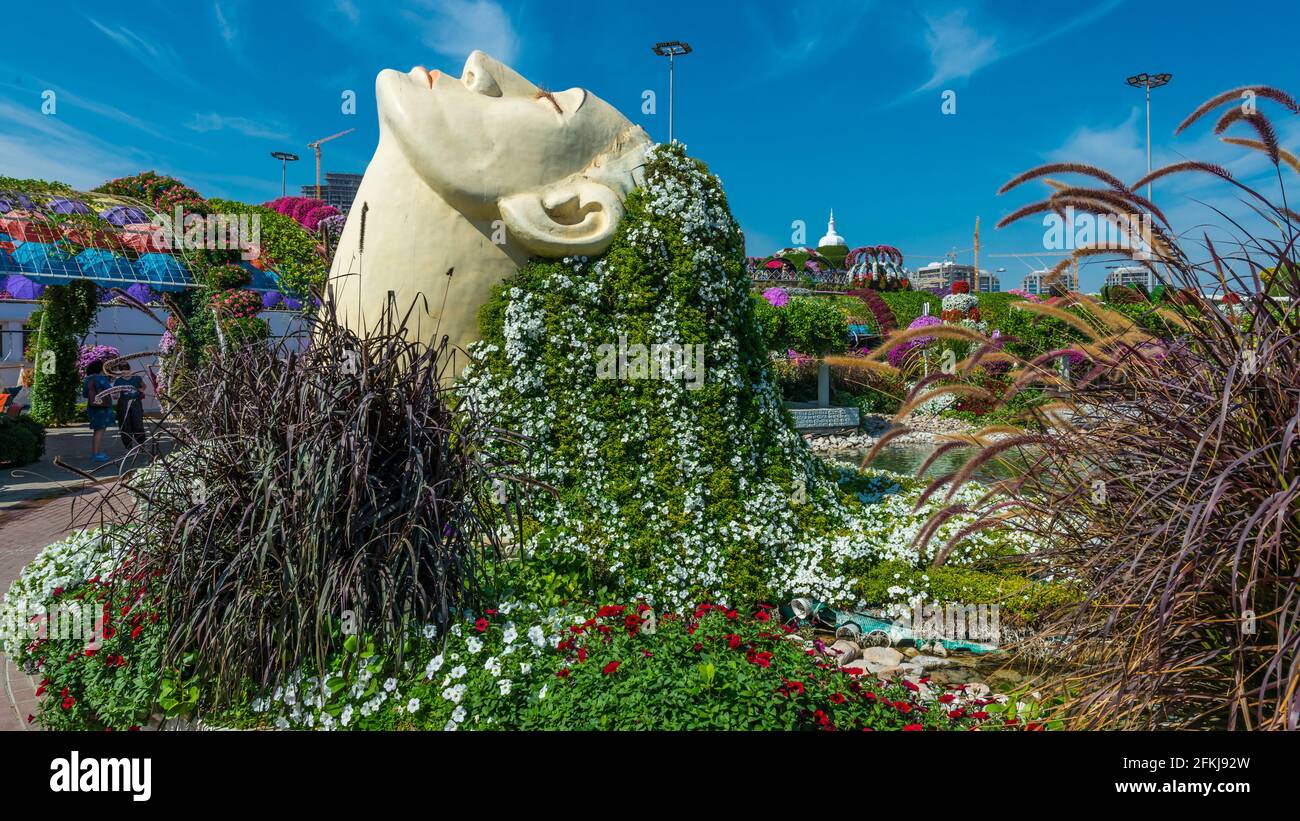 Dubai miracle garden - Megaparc in the United Arabian Emirates Stock Photo