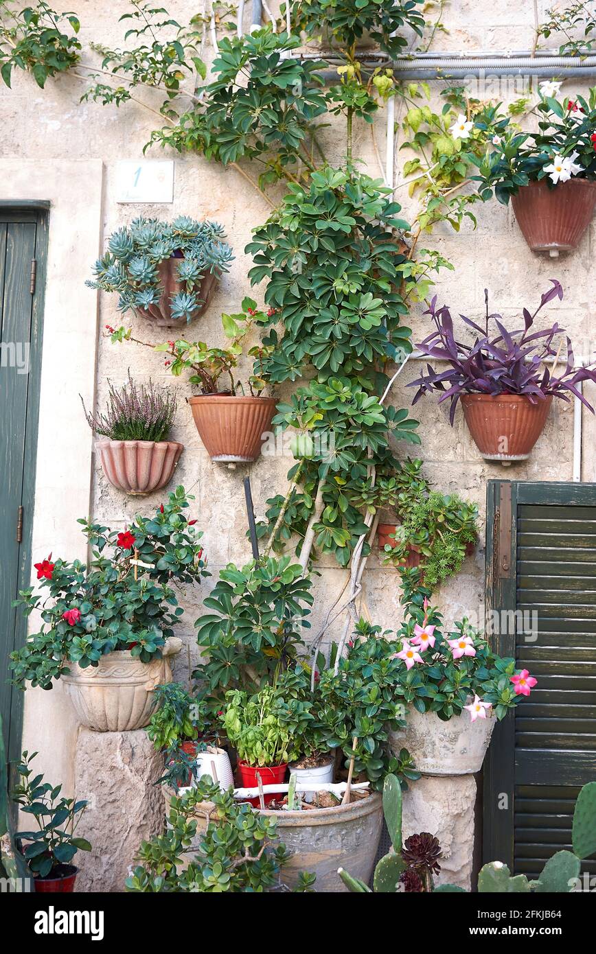 Pots arrangement hires stock photography and images Alamy