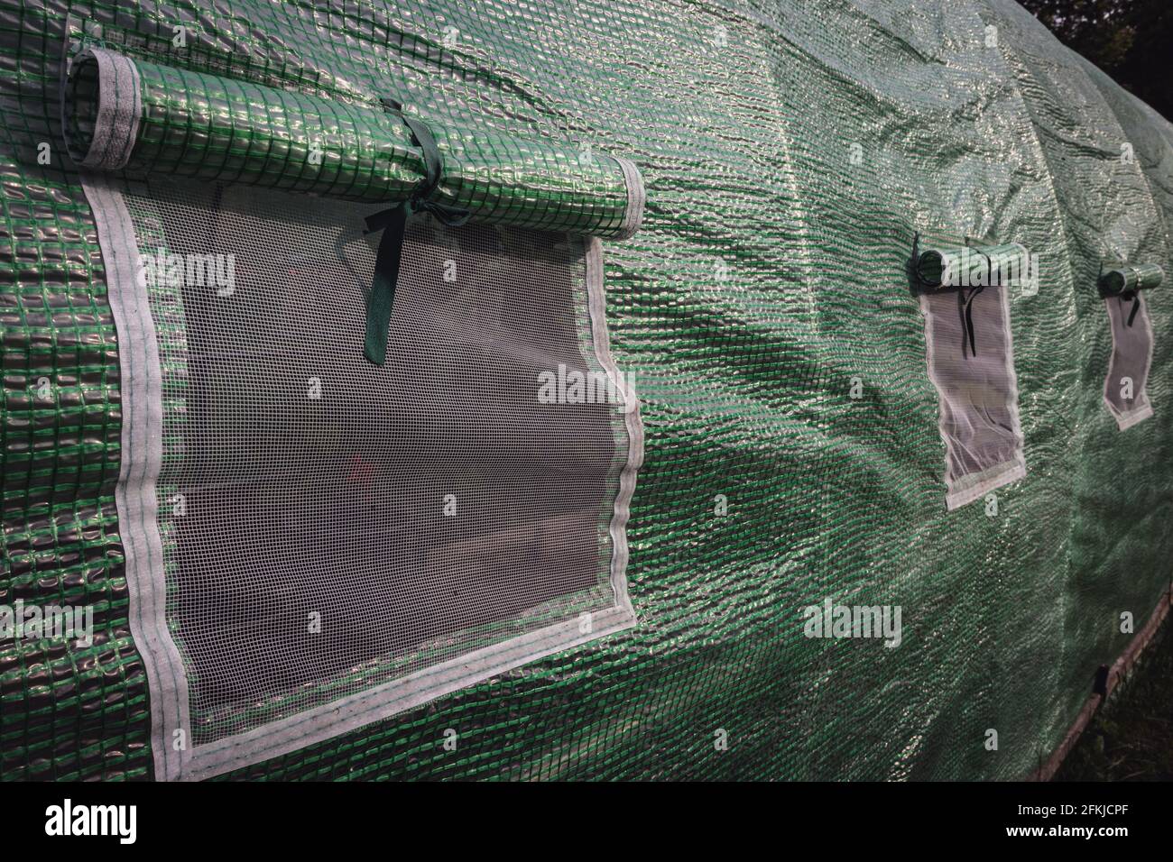 Polythene tunnel as a plastic greenhouse in an allotment with growing vegetables in garden Stock Photo