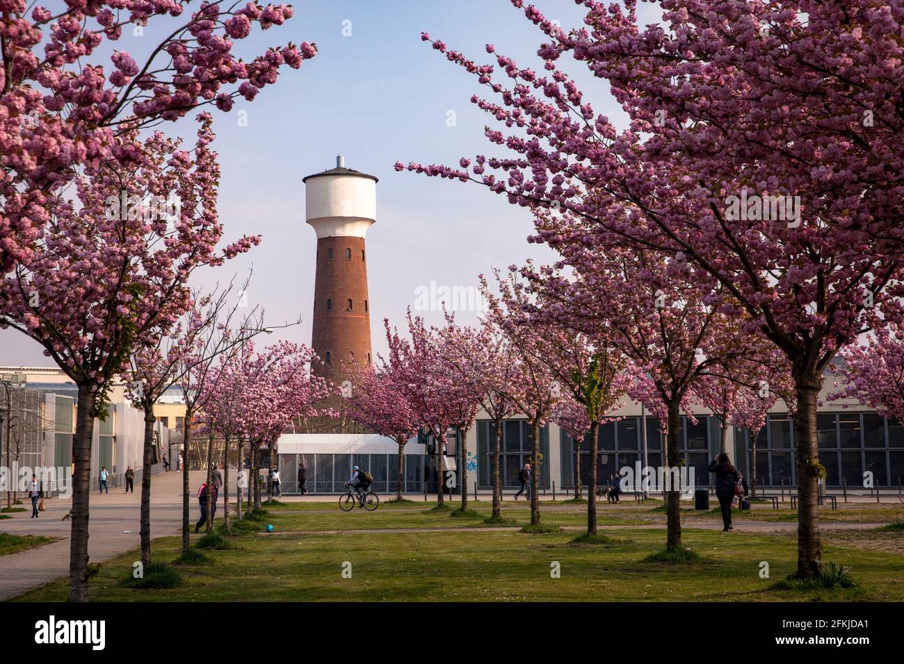 water tower of the former chemical factory Kalk at the shopping mall Koeln Arcaden in the district Kalk, blooming cherry trees in Buergerpark, Cologne Stock Photo