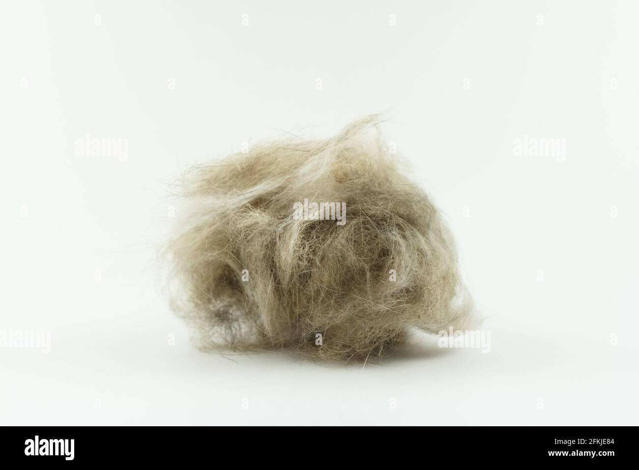 cat hair clump isolated on white, Long hair cat maintenance Stock Photo