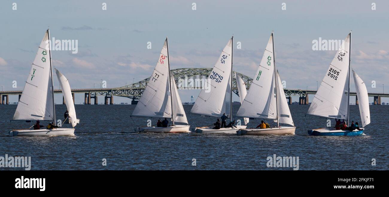 Babylon, New York, USA – 7 December 2019: Small sailboats competing in a winter regatta in front of the the Great South Bay bridge.. Stock Photo