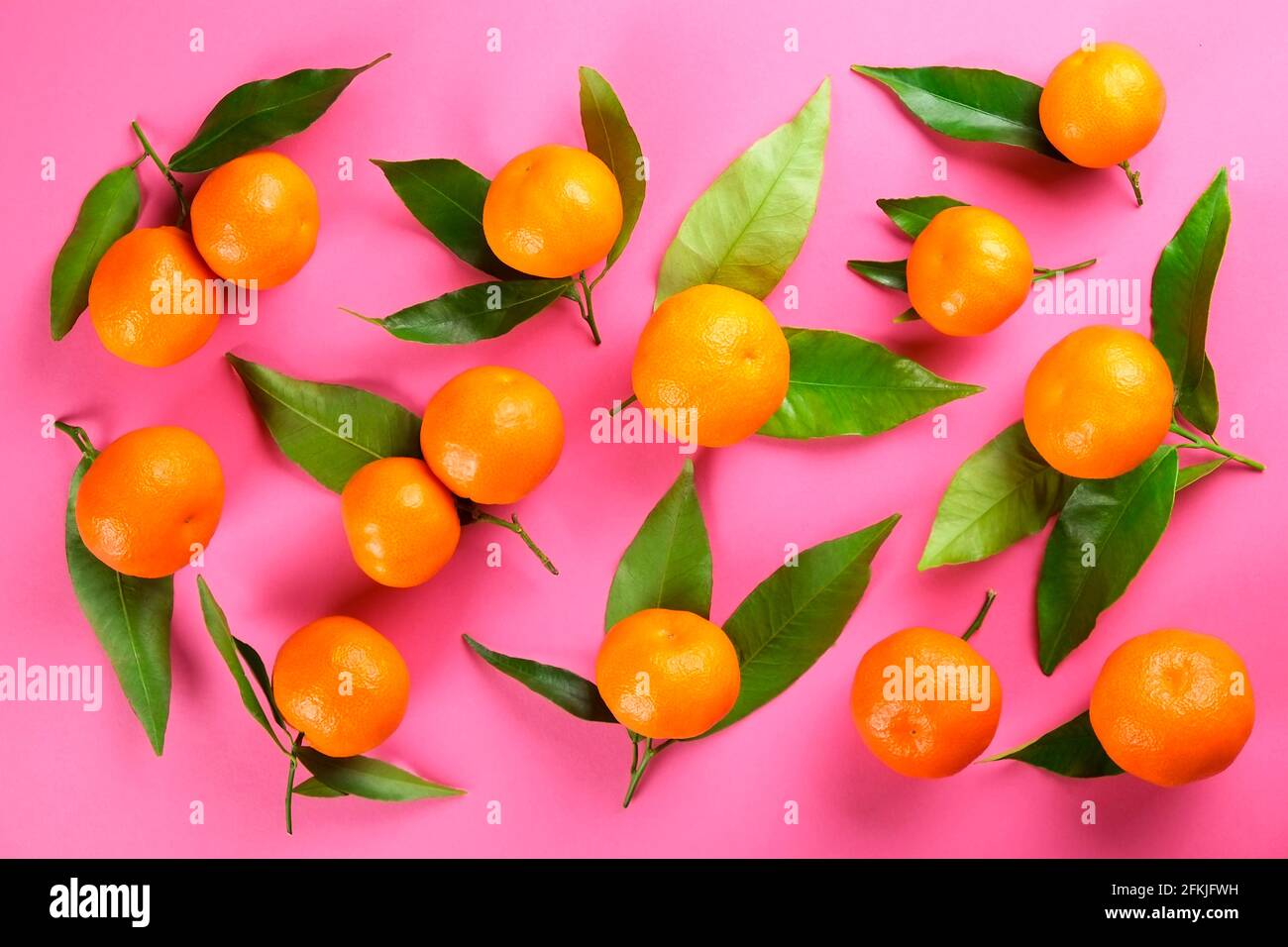 Stylish flat lay composition of juicy tangerine oranges with leaves on solid pink background. Bunch of organic ripe clementine mandarins, raw vegan fo Stock Photo