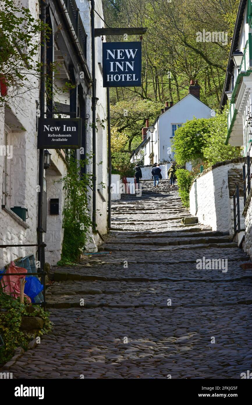 Houses on main street in Clovelly, North Devon, in Spring sunshine