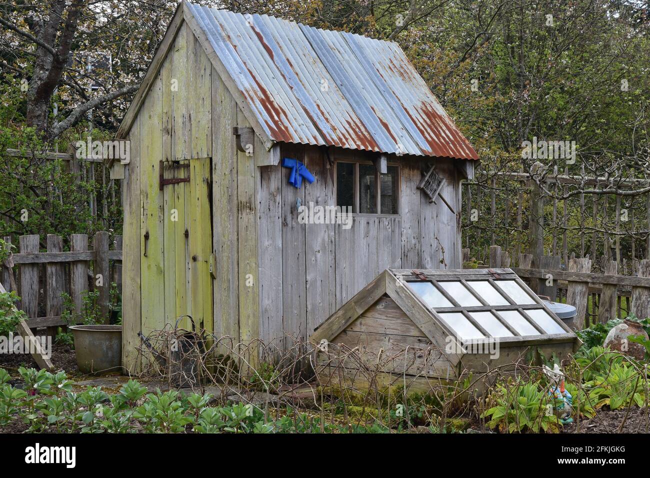Shed and cold frame, RHS Rosemoor Gardens, North Devon in Spring sunshine Stock Photo