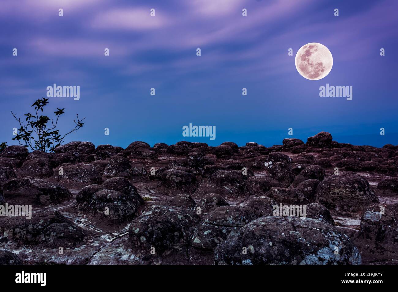 Gleaming Moonlight High Resolution Stock Photography And Images Alamy Gleaming Moonlight High Resolution Stock Photography And Images Alamy