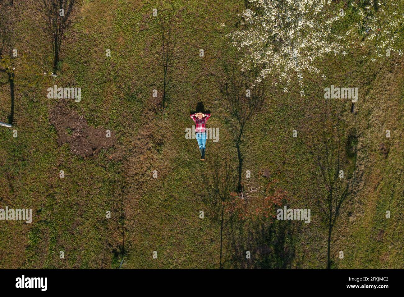 Female farmer laying down in organic cherry orchard, top down drone pov image of woman agronomist resting outdoors Stock Photo