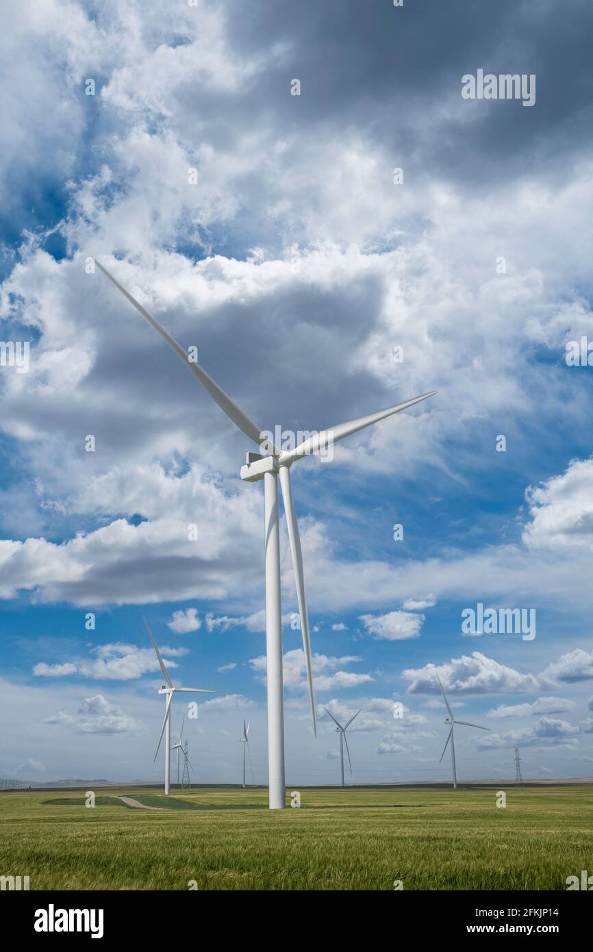 A tall wind turbine generating electricity near Pincher Creek Alberta Canada as part of the sustainable energy sector. Stock Photo