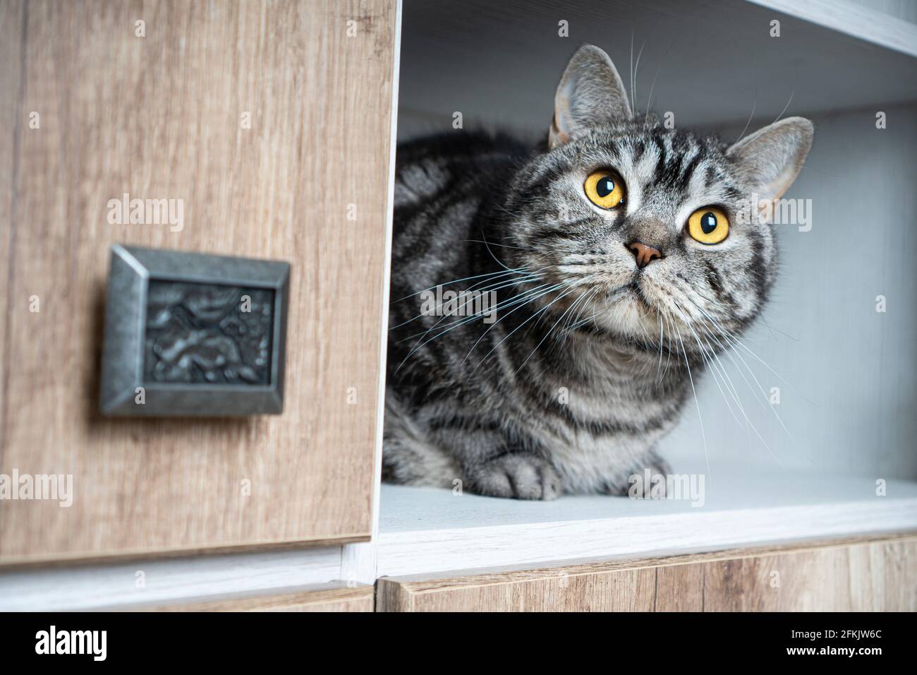 Hide In Closet High Resolution Stock Photography and Images Alamy