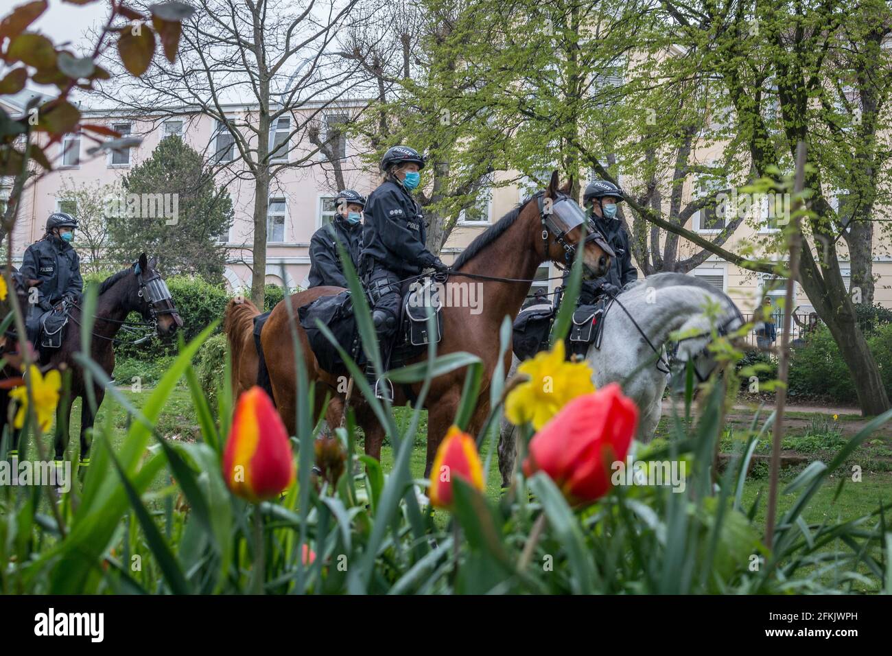 Mounted police protest horse hi-res stock photography and images - Alamy