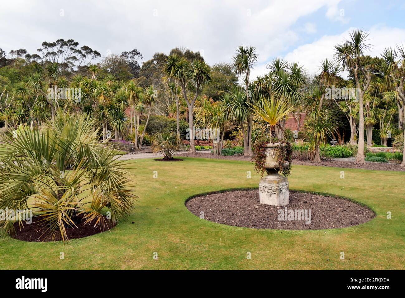 Scottish palm tree hires stock photography and images Alamy