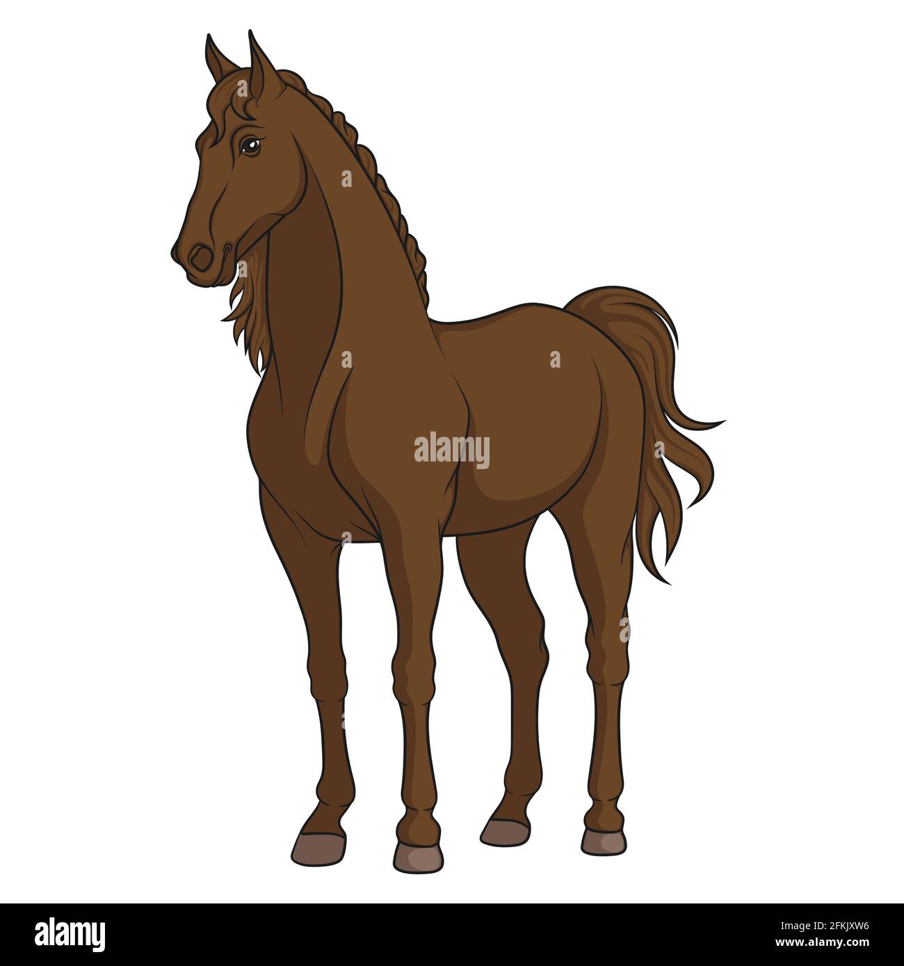 Vector color illustration of a horse. Isolated object on a white