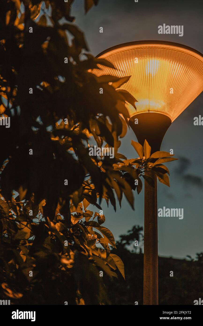 Silhouette lamp post and leaves hi-res stock photography and images - Alamy