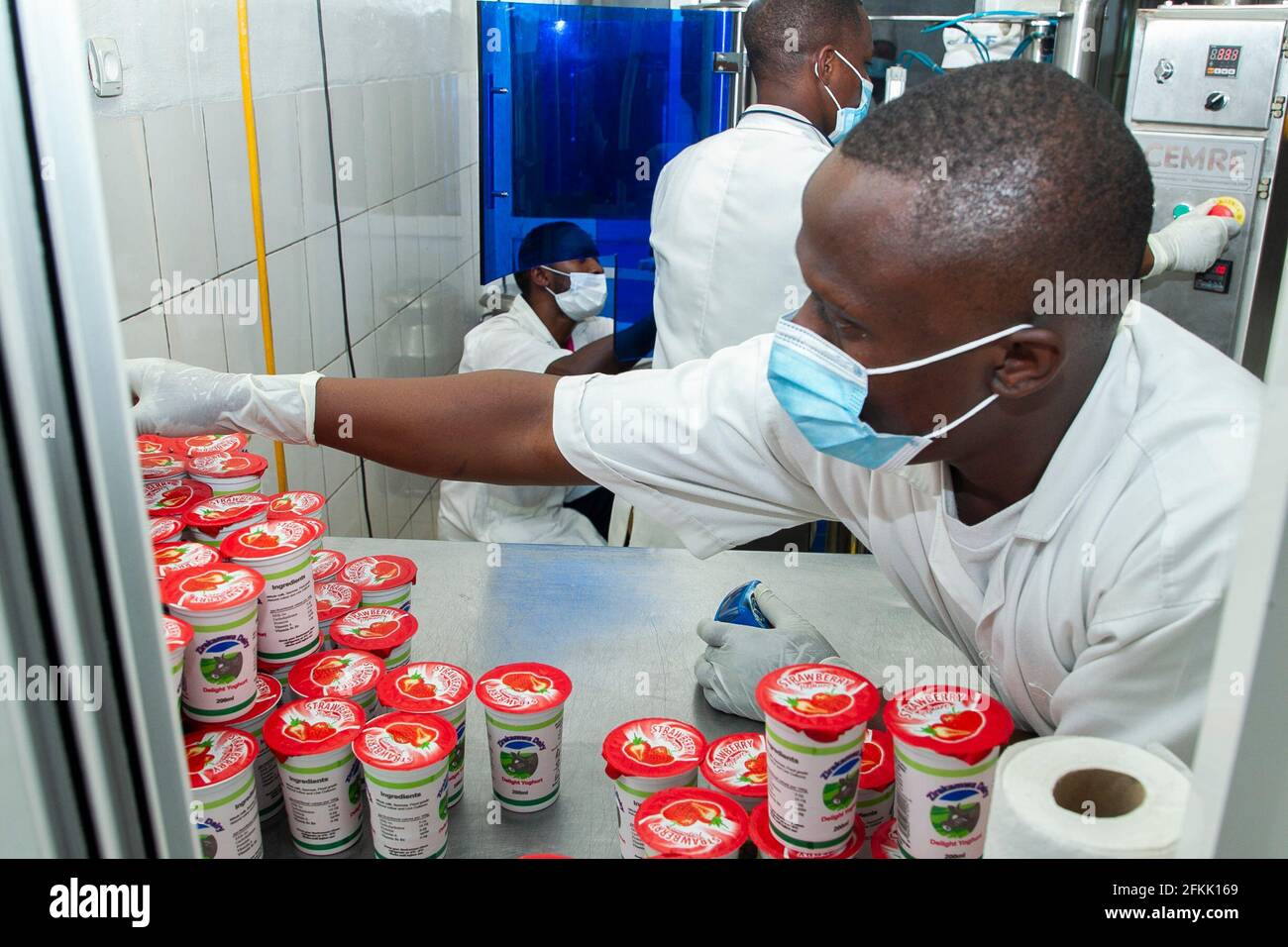 (210502) -- NYANZA, May 2, 2021 (Xinhua) -- An employee of Zirakamwa Meza Dairy arranges yogurt in Nyanza district, about a two-hour drive from the Rwandan capital city Kigali, on April 30, 2021. TO GO WITH 'Feature: From genocide widow to successful businesswoman -- Rwandan woman walking out of shadow' (photo by Cyril Ndegeya/Xinhua) Stock Photo