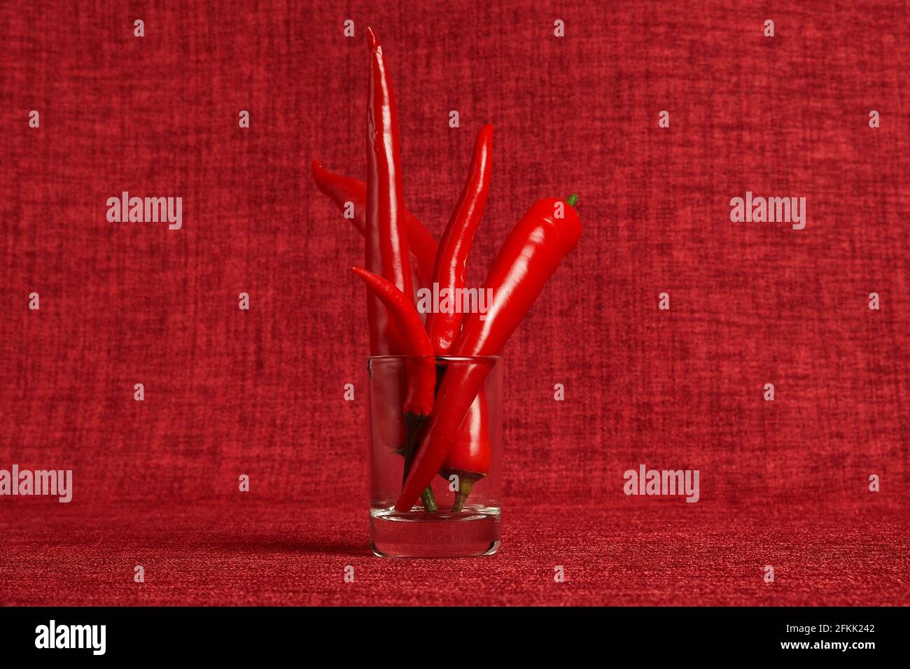 Pepper red chili pod on a red background, close-up. Stock Photo