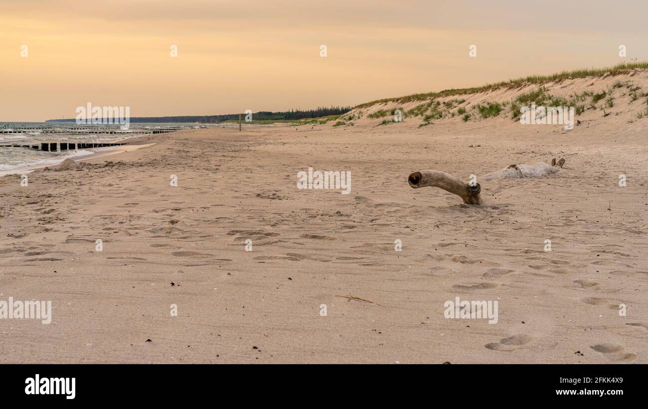 Evening at the beach in Ahrenshoop, Mecklenburg-Western Pomerania, Germany Stock Photo