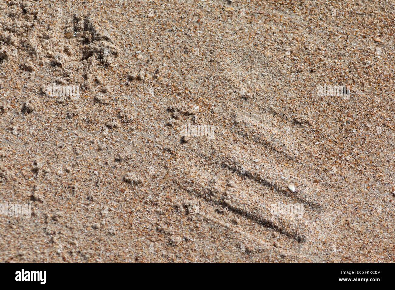 close up of a shoe imprint on a sandy beach Stock Photo