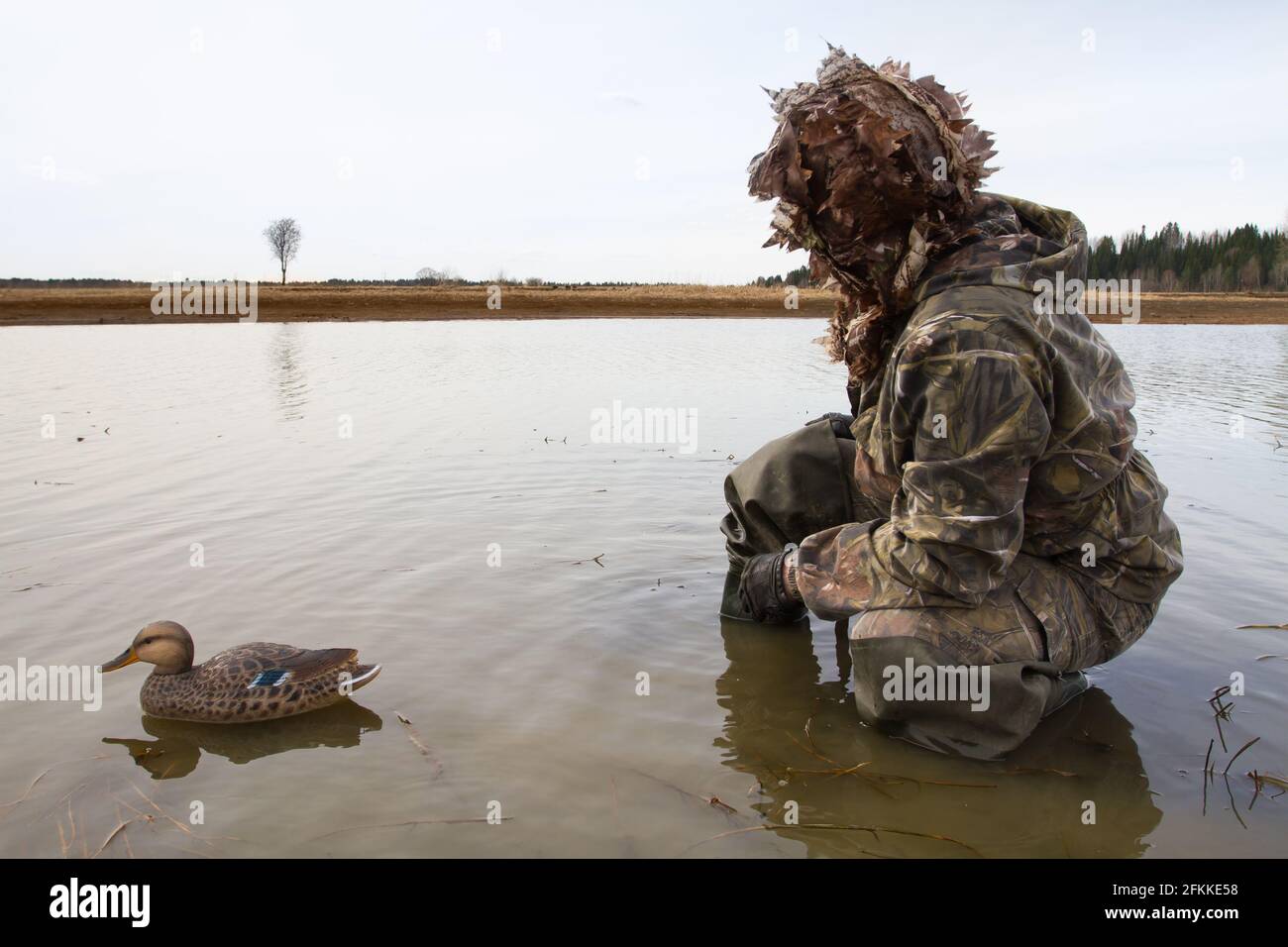 waterfowler with a plastic duck decoy in shallow water before the hunt Stock Photo