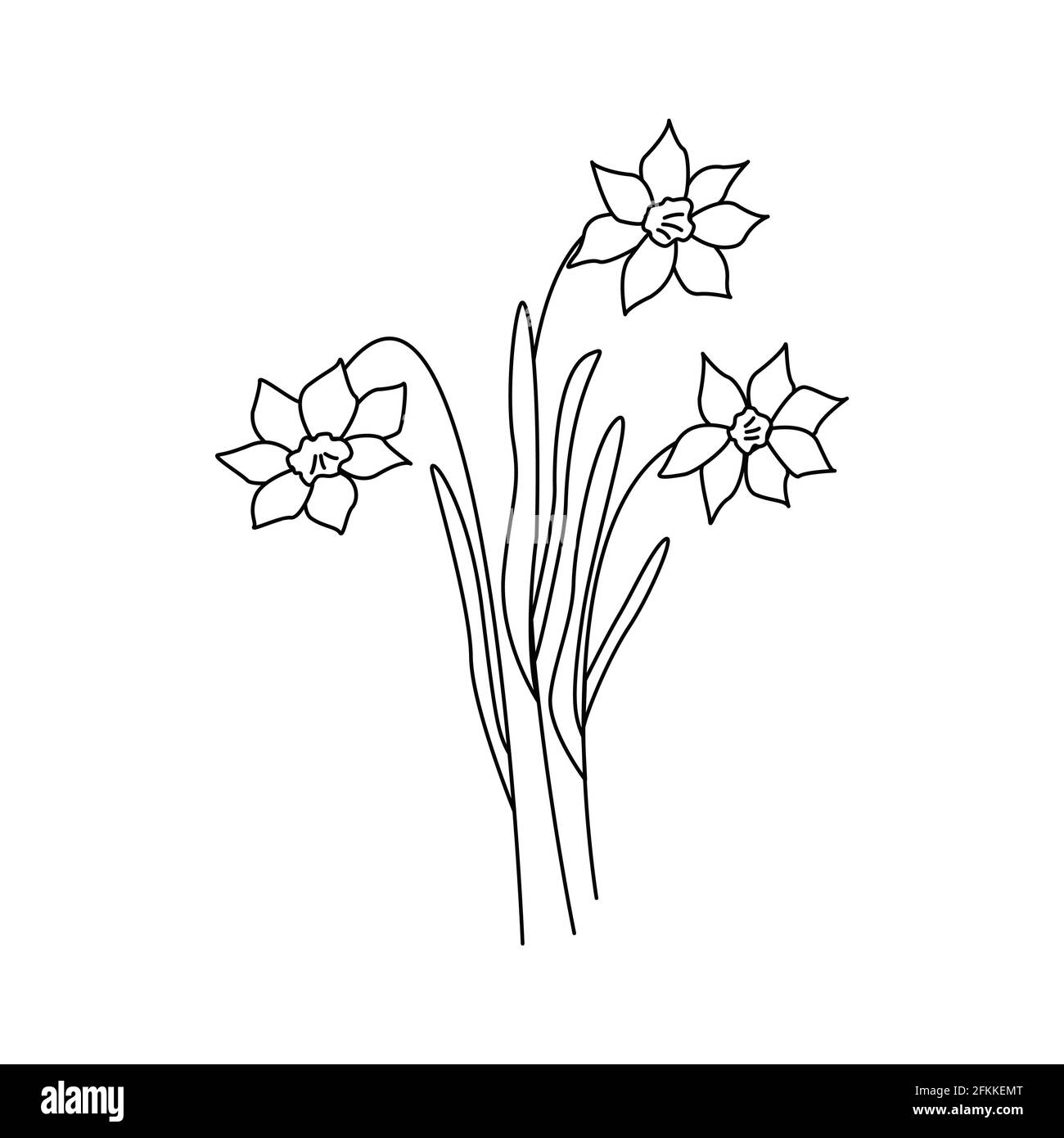 Daffodils Flower Clipart Black