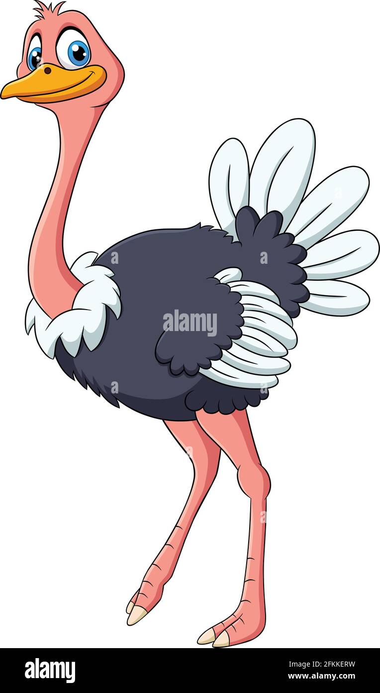Cute Ostrich animal cartoon illustration Stock Vector Image & Art - Alamy