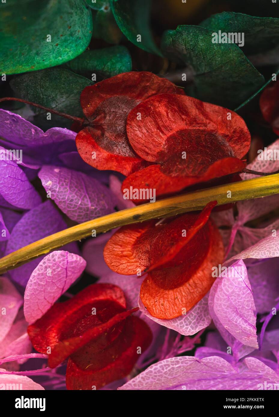 Dry flower close up background of petals, red and green dried flowers