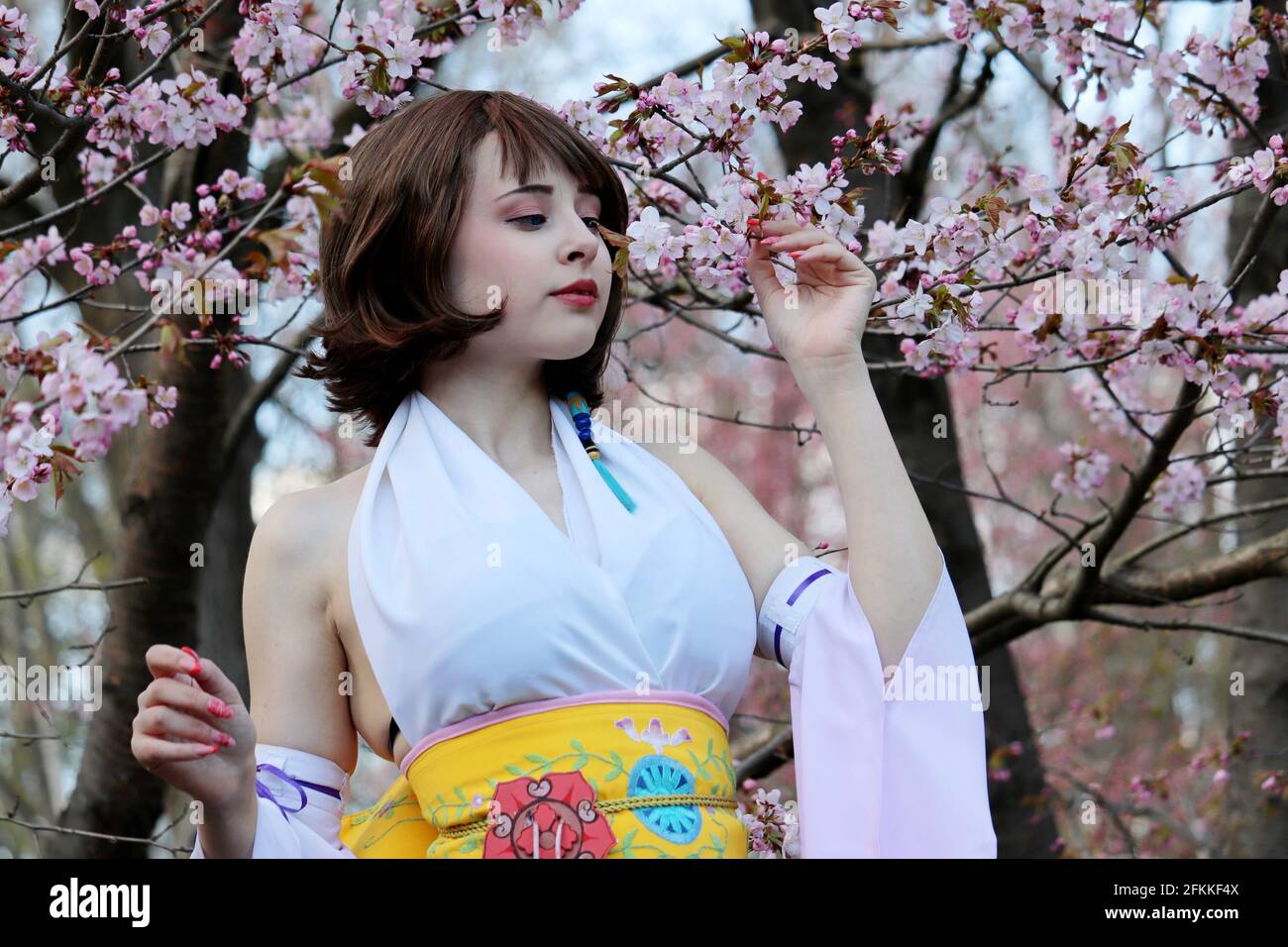 Pretty girl in a traditional Japanese dress posing on background of sakura flowers. Cherry blossom season in Moscow Botanical garden at spring Stock Photo