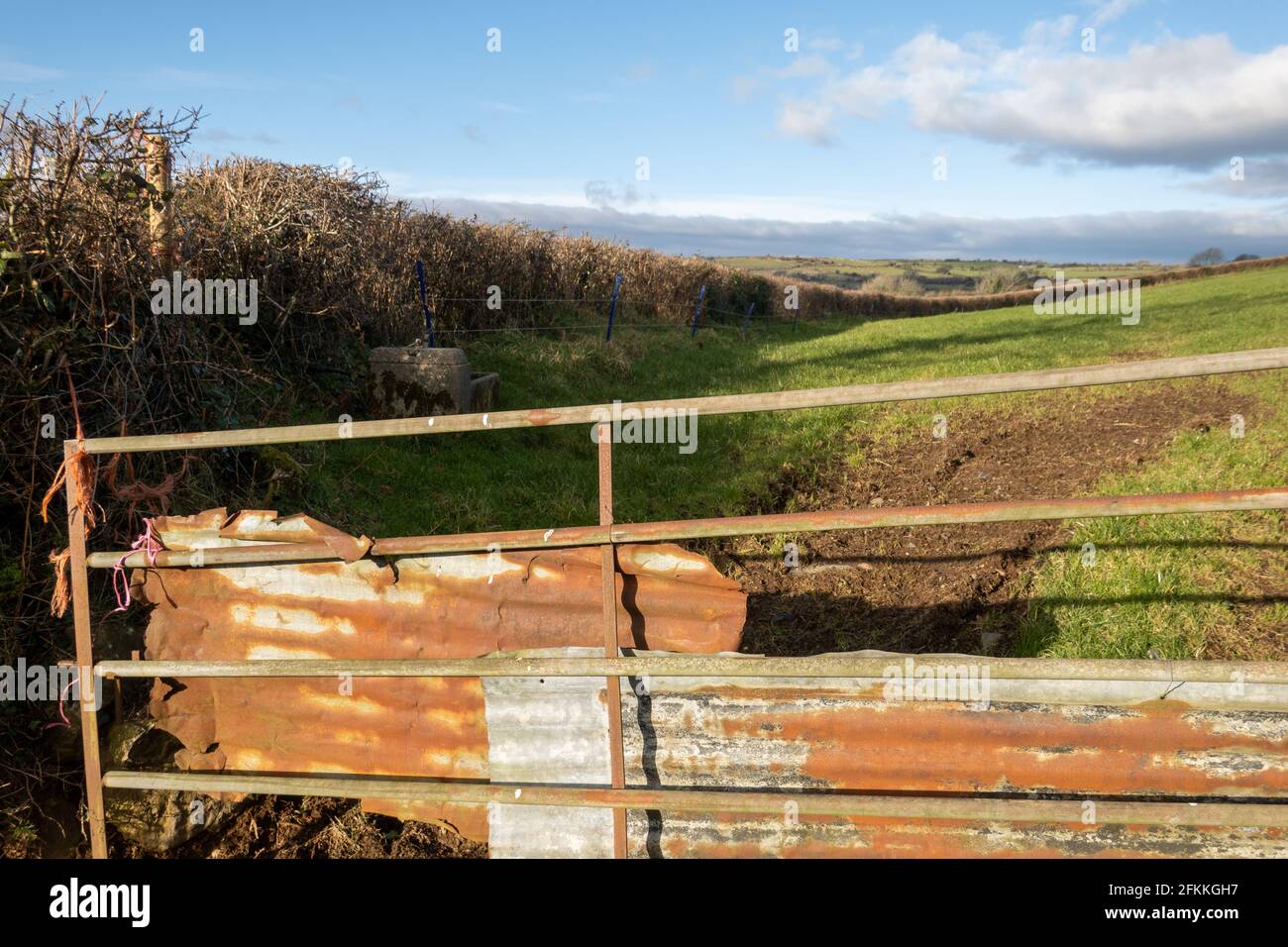 Metal farm gate with corrugated metal shut across field Stock Photo