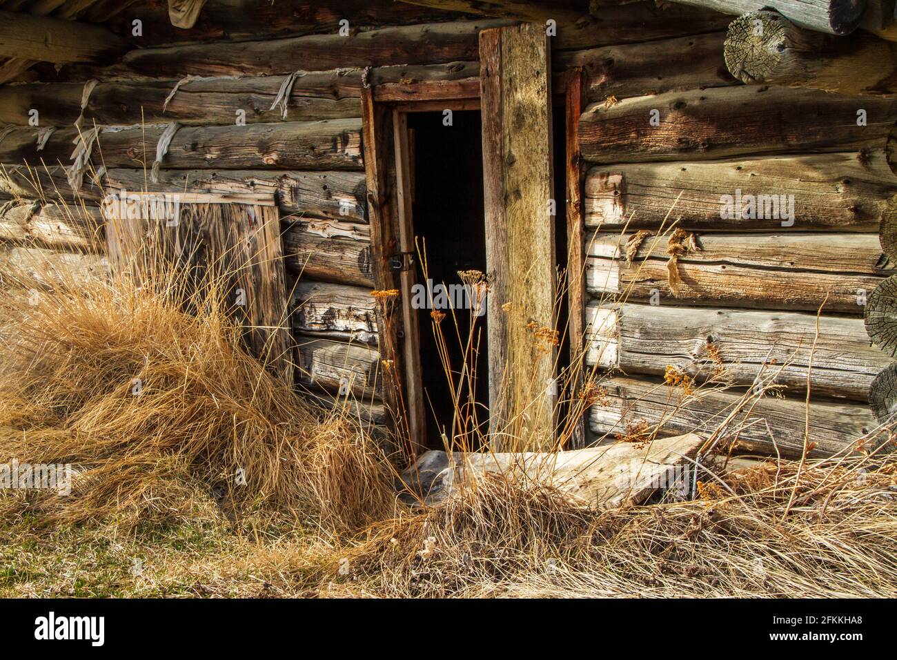 Old miner's log cabin built in the 1800's during the gold rush in Atlin, in northern British Columbia. Stock Photo