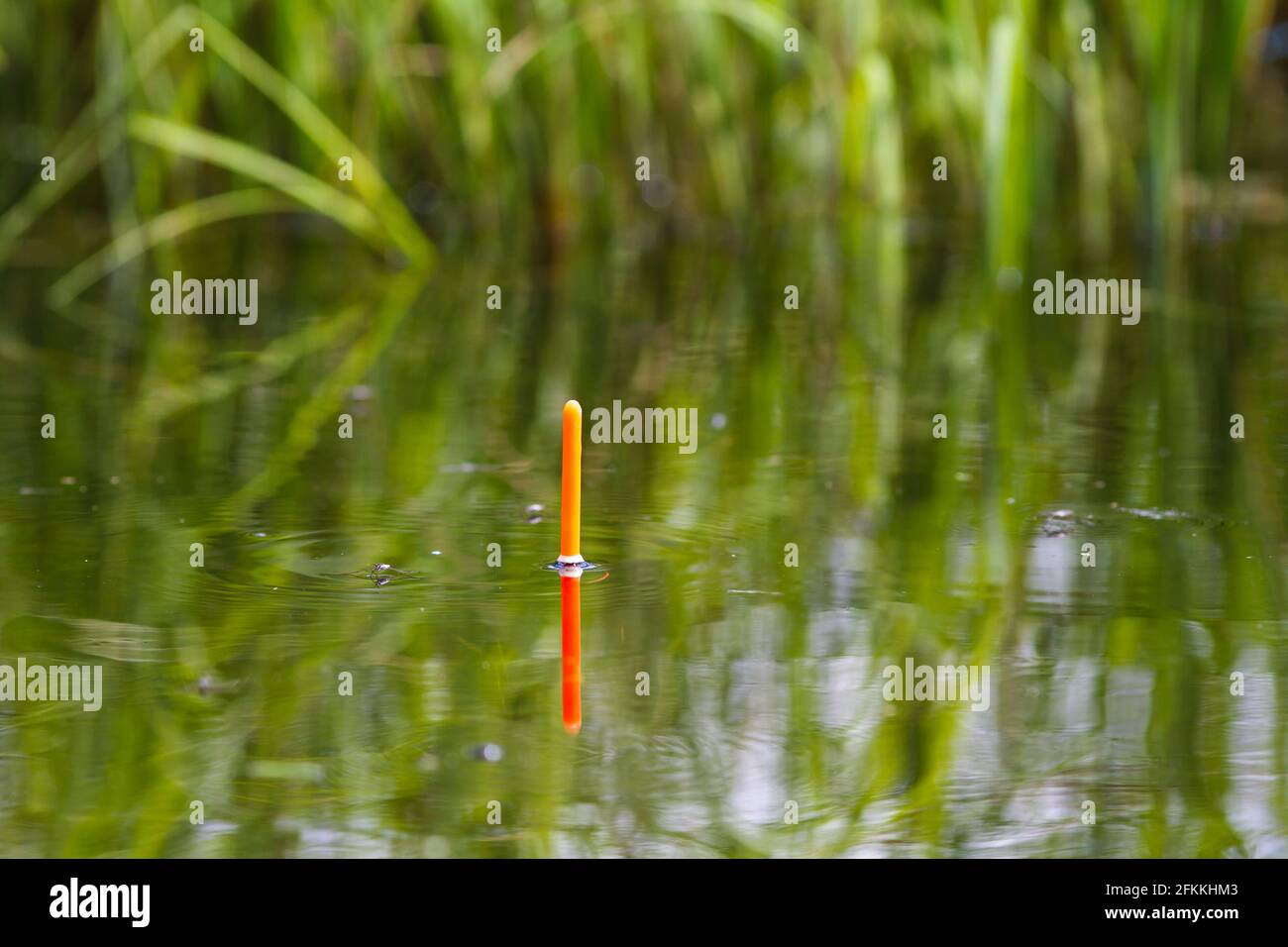 orange fishing float is on the surface of the lake, closeup Stock Photo